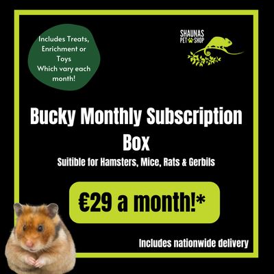 Shauna's Petshop Treat Box - *Bucky Subscription Box - Subscribe for only €29 a month by clicking the link in the description!