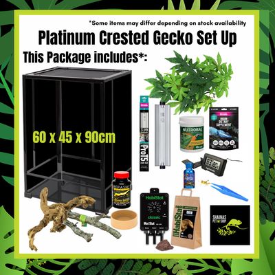 Platinum Crested Gecko Setup