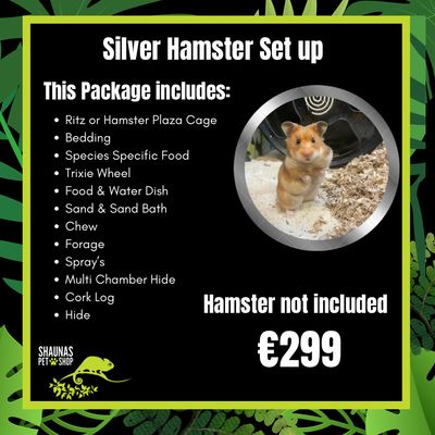Silver Hamster Setup - Hamster Not Included
