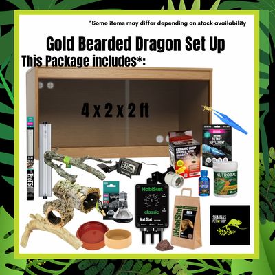 Bearded Dragon Gold Setup