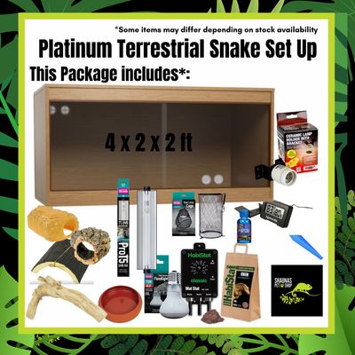 Platinum Terrestrial Snake Complete Setup