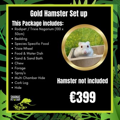 Gold Hamster Setup (Recommended For Male Syrians Or Dwarf Hamsters Only). Hamster Not Included