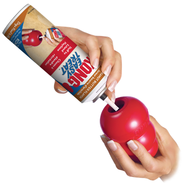 Kong Easy Paste Treat - Cheese