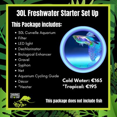 30 Litre Aquarium Starter Setup