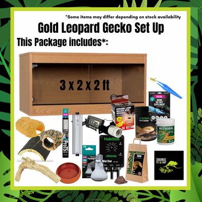 Gold Leopard Gecko Complete Setup