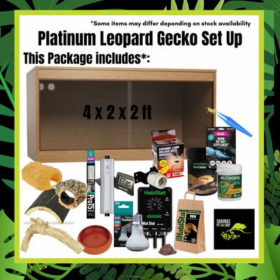 Platinum Leopard Gecko Complete Setup