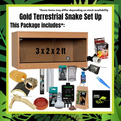 Gold Terrestrial Snake Setup