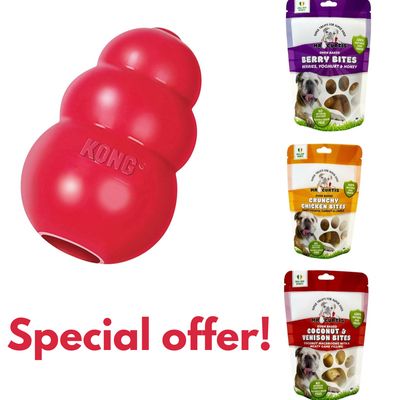 Kong Classic Medium With Mr. Curtis Treats (60g)