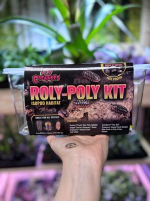 Zoo med  roly-poly kit - isopod habitat