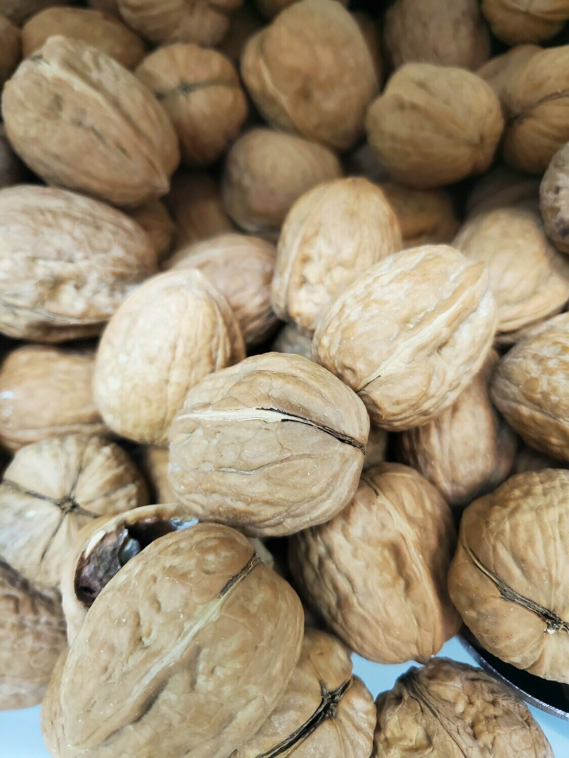 Walnuts In Shell per Lb