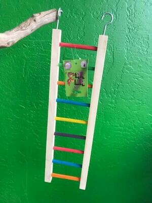 20” Color Ladder