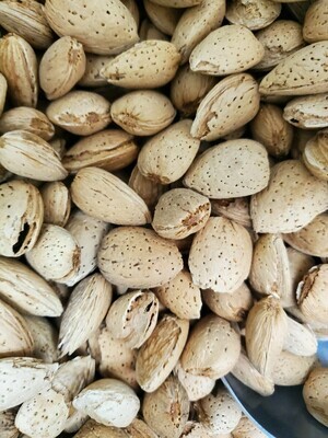 Almonds In Shell (per oz)