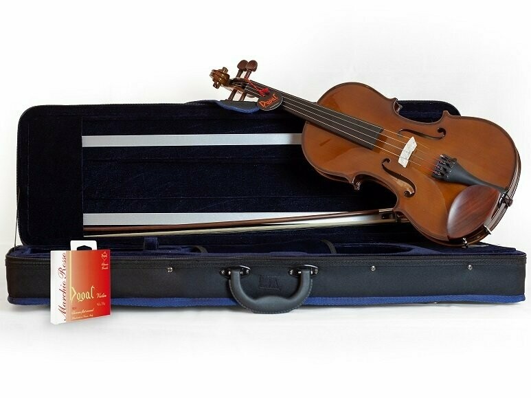 Domus Allievo I - Set con violino 1/2, astuccio, arco e pece
