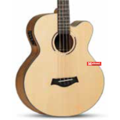 Vermont - B100CE-N Basso acustico