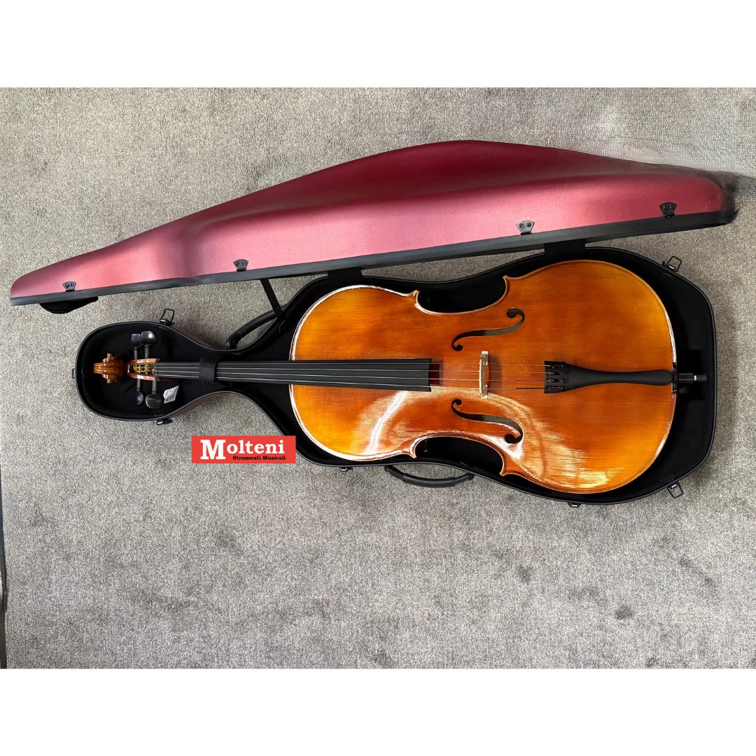 Set violoncello Professional 1