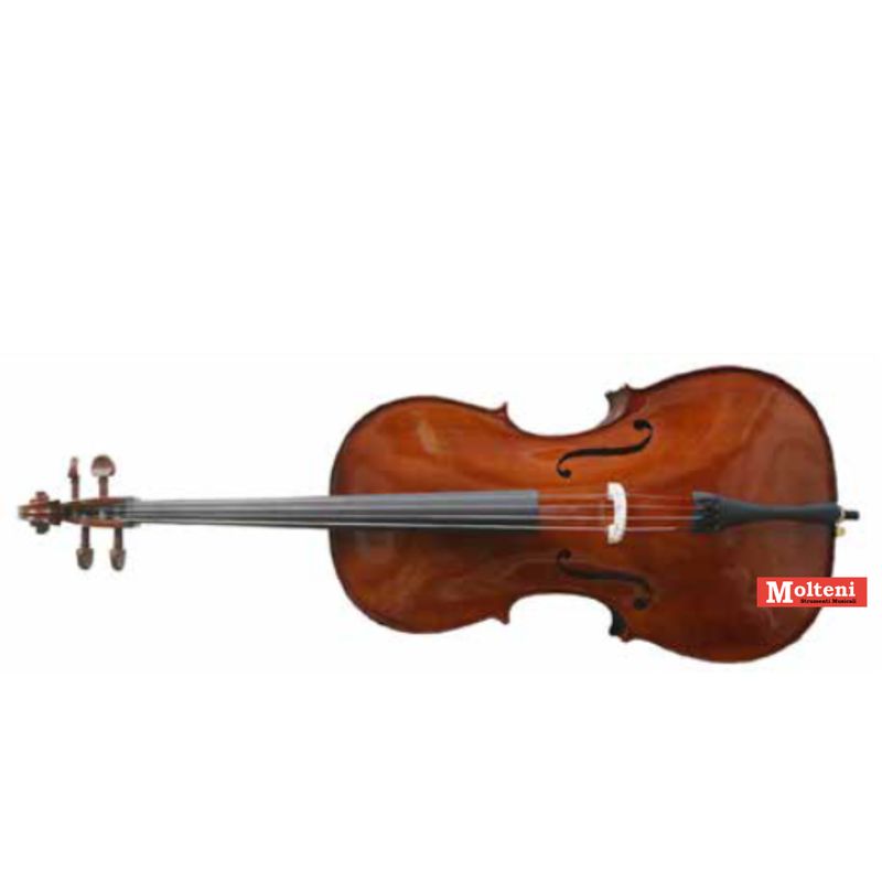Domus Allievo I - Violoncello 4/4 con arco e borsa