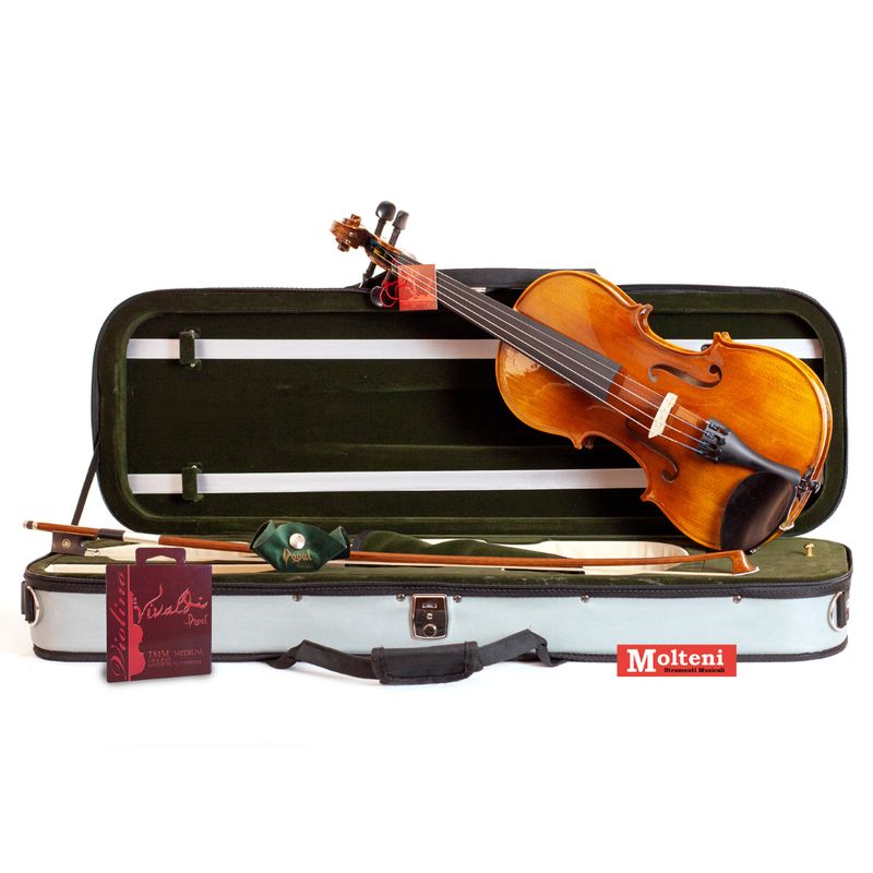 Domus Accademia I Set con violino 4/4, astuccio, archetto e pece