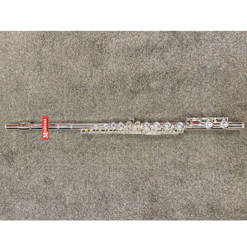 ARROW STV375 flauto traverso in DO con fori chiusi e MI snodato