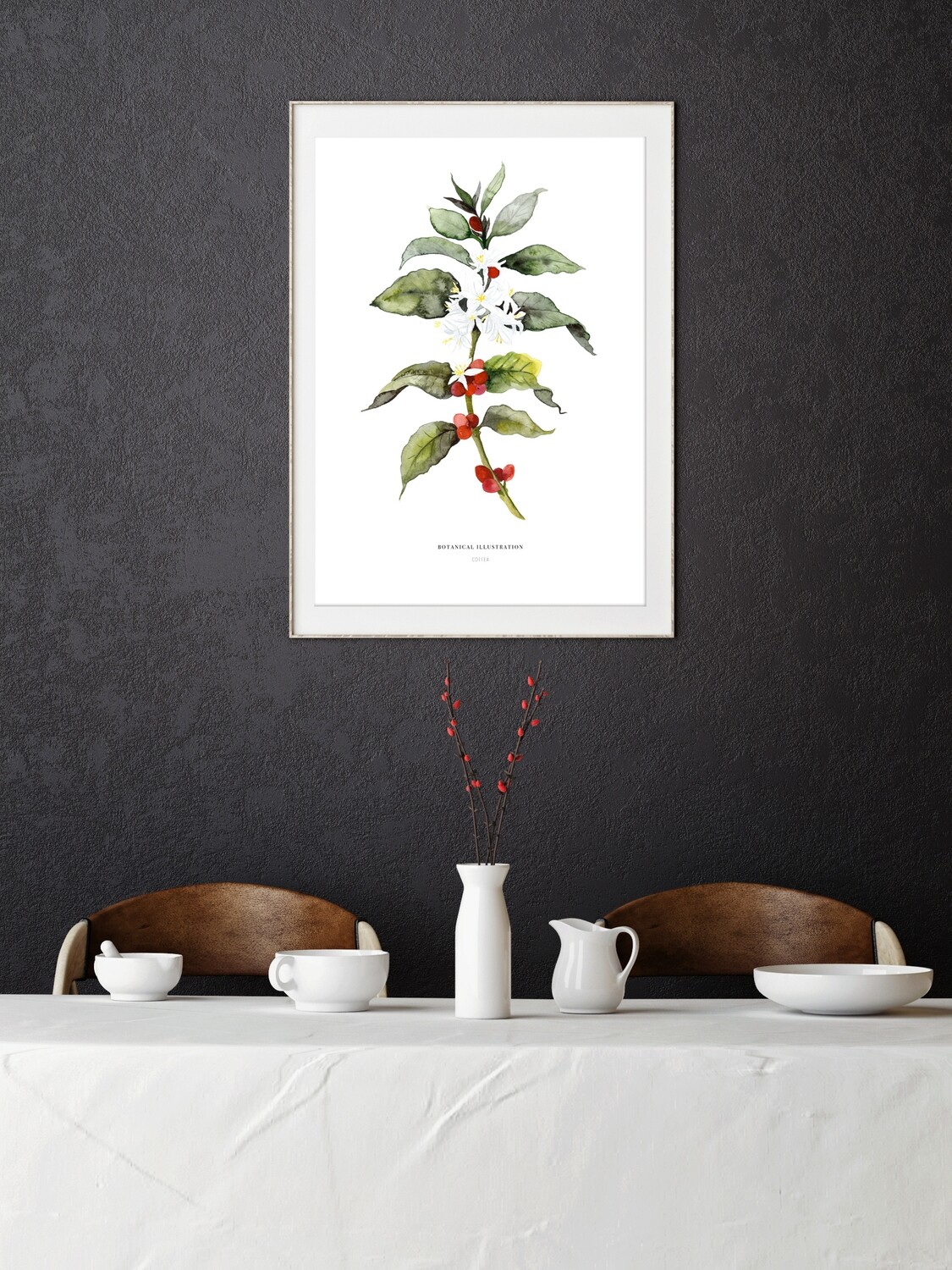 Kaffeepflanze - Coffee plant