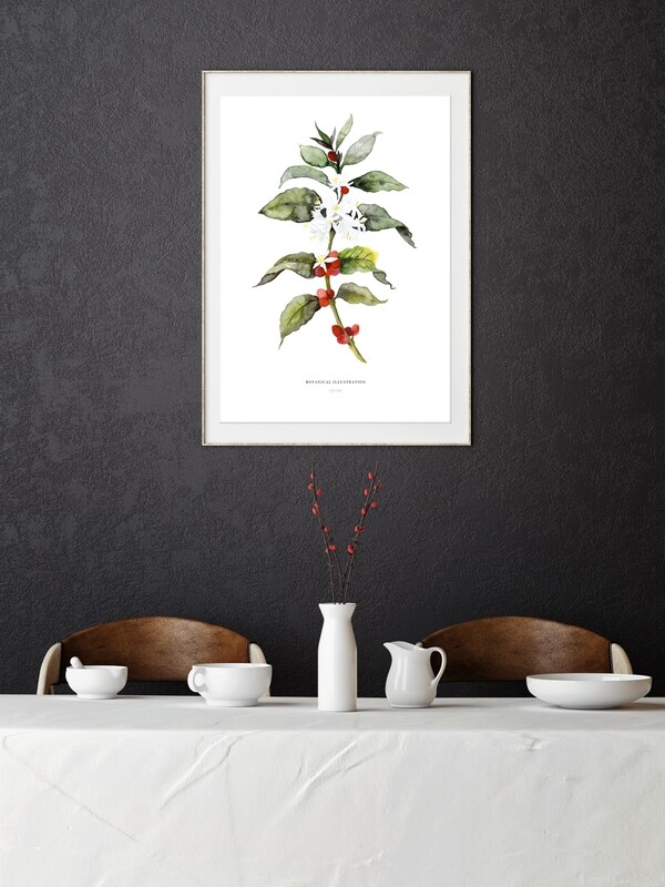 Kaffeepflanze - Coffee plant