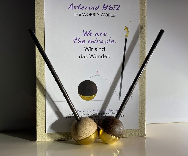 THE WOBBLY WORLD® Asteroid B612