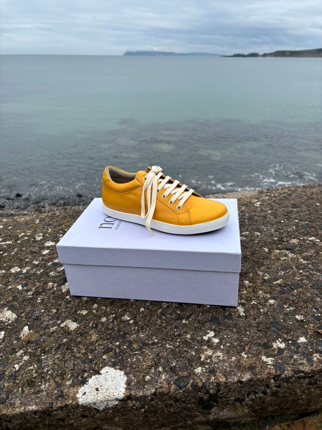 Noë Naby - Zafferano