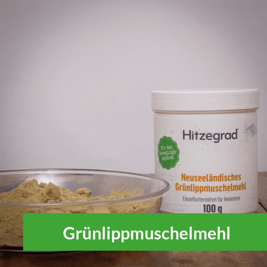 Grünlippmuschelmehl für Hunde