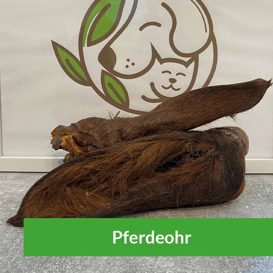 Pferdeohr mit Fell