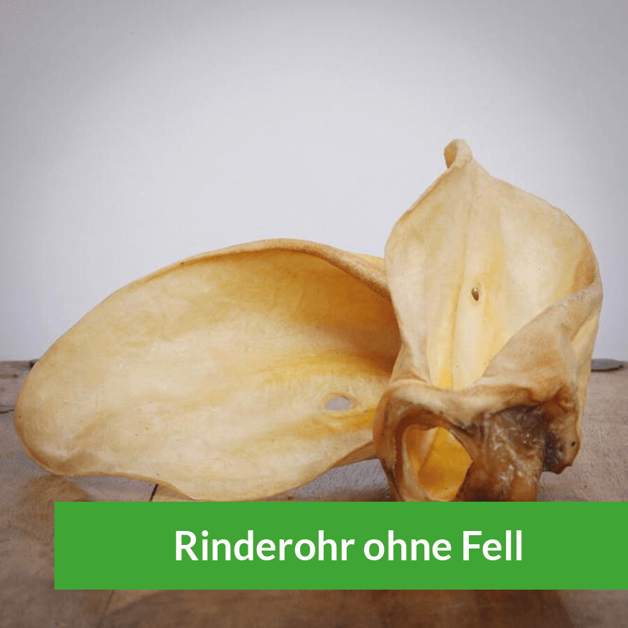 Rinderohr getrocknet ohne Fell