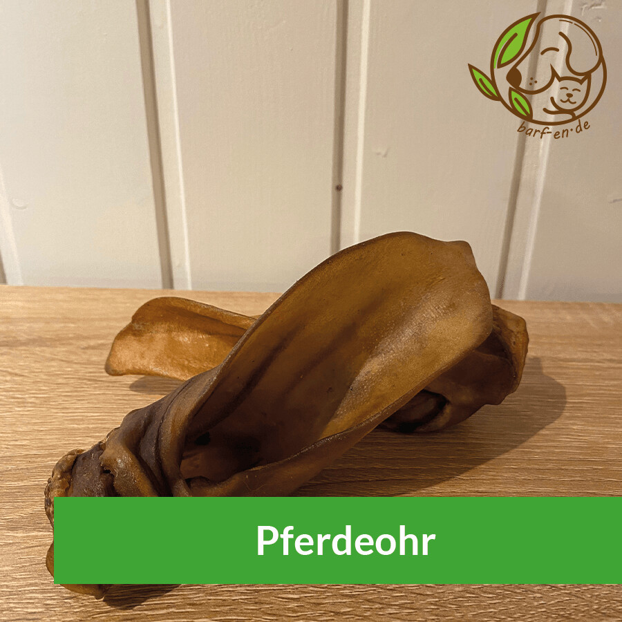 Pferdeohr ohne Fell