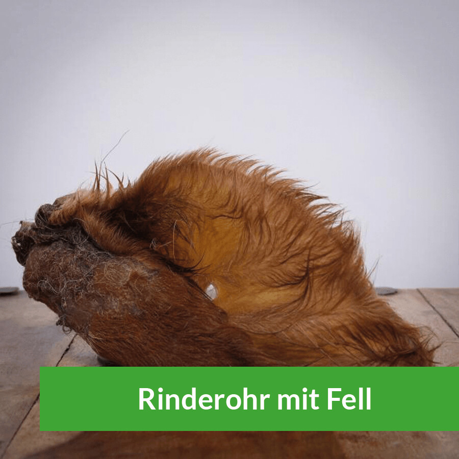 Rinderohr mit Fell