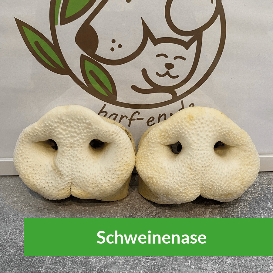 Schweinenasen, getrocknet, einzeln
