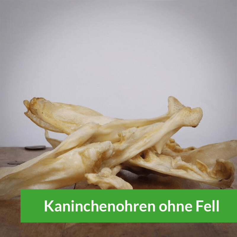 Kaninchenohren ohne Fell