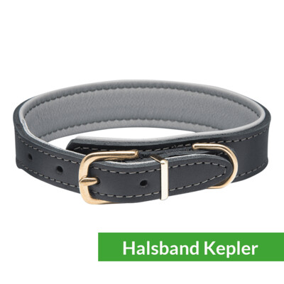 Lederhalsband Kepler schwarz/graphit