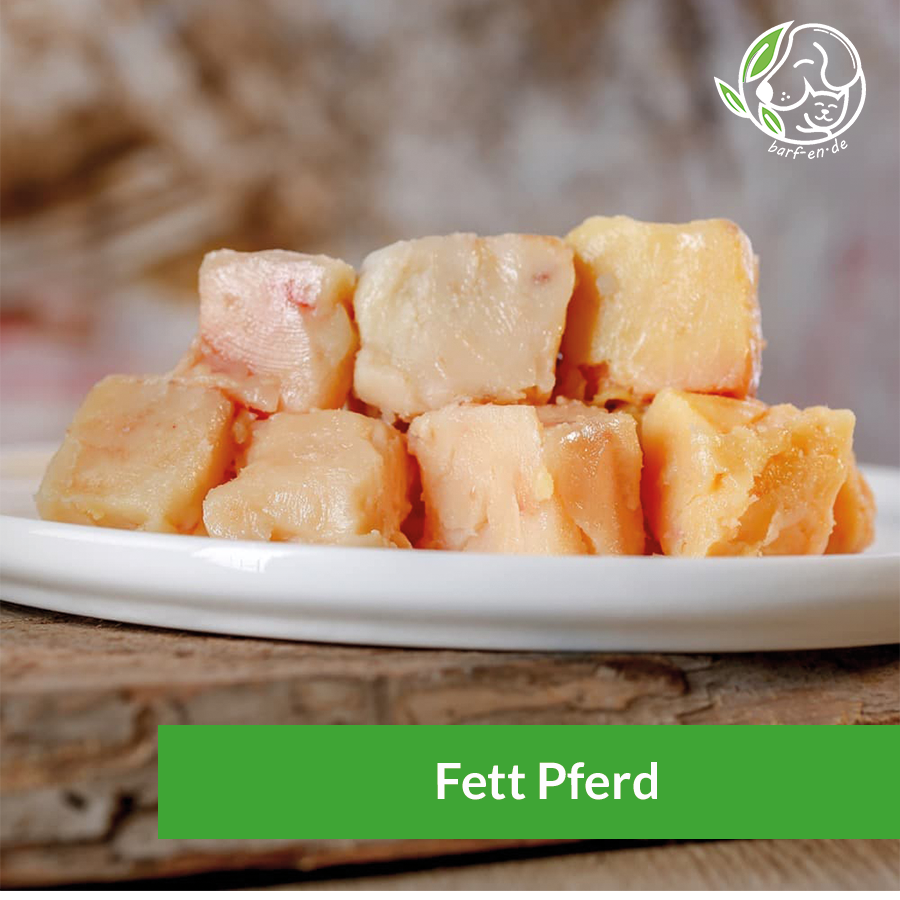 Fett vom Pferd Stücke 500g