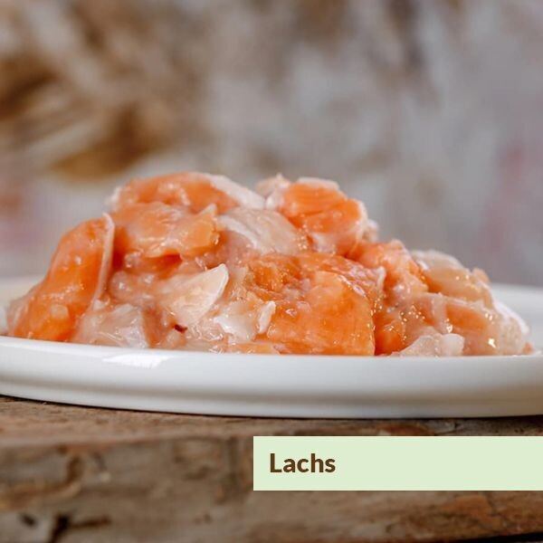 Barfgold Lachs, Würfel 500 g