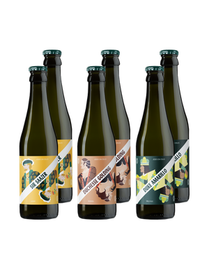 Gemischtes Sixpack mit drei Biersorten