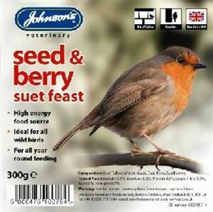 Johnson's Seed & Berry Suet Feast 300g