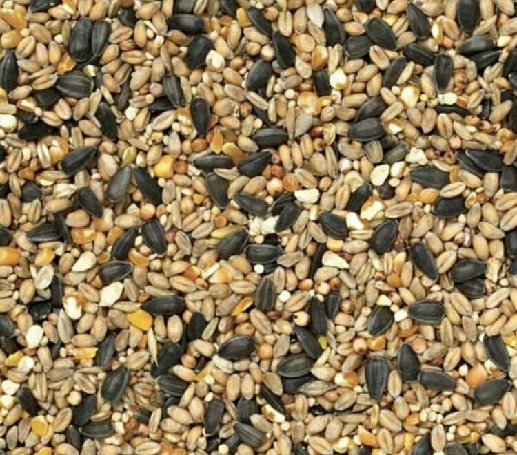 Wild Bird Seed 1kg