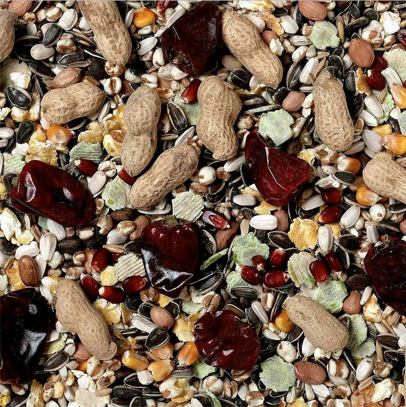 Parrot Seed Loose - Fruit 12.5kg