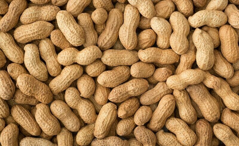 Peanuts In Shells W/O 1kg