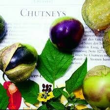 Tomatillo (Aubergine de montagne)