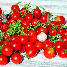 Tomate Principe Borghese (datte)