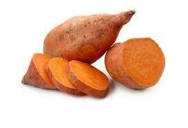 Patate douce Beauregard (pot 10cm)