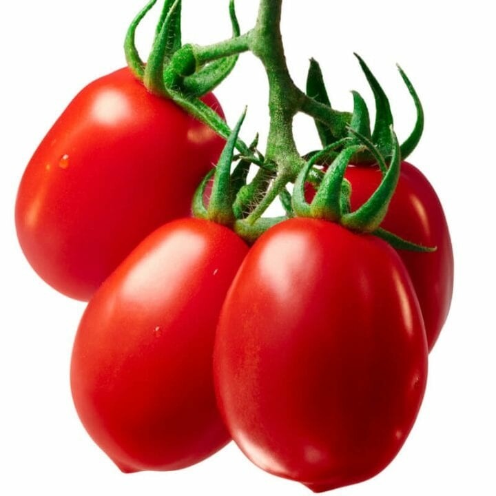 Tomate Roma (sauce)