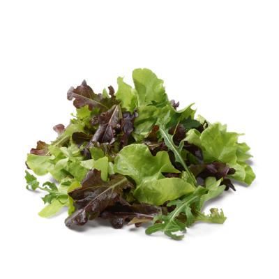 salade à tondre