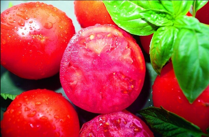 Tomate Douce de Hongrie