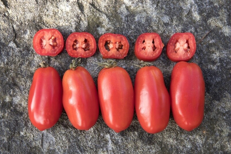 Tomate San Marzano