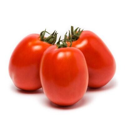 Tomate déterminée Roma (sauce)