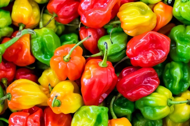 Piment Habanero